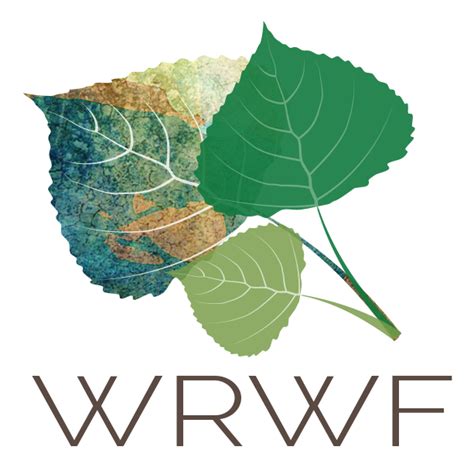 wood river women's foundation|idaho women's charitable foundation.